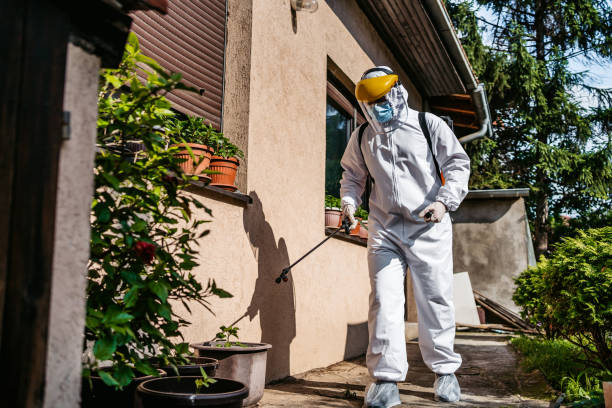 Best Bed Bug Extermination  in Madeira Beach, FL